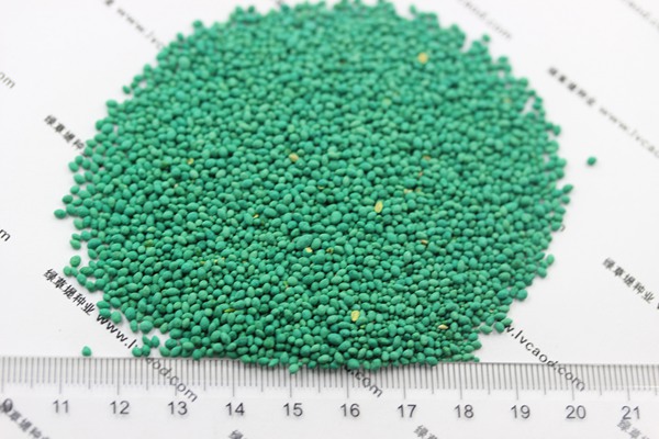 大葉油草種子 大葉油草種子