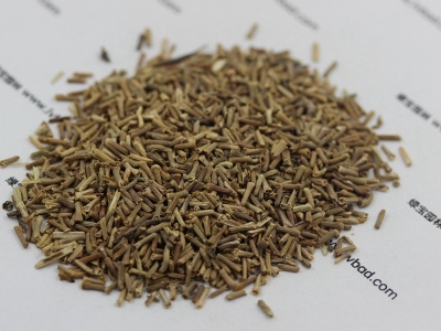 美女櫻種子價(jià)格_圖片_種植方法