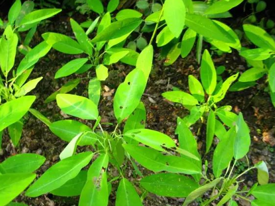 1590653405695409.jpg 微信圖片_20200519084716.jpg