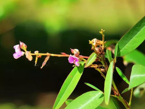 1590653412732125.jpg 微信圖片_20200519084719.jpg