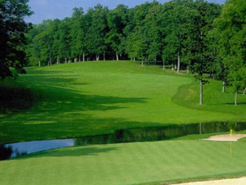 四季青草坪種子 四季青草坪種子