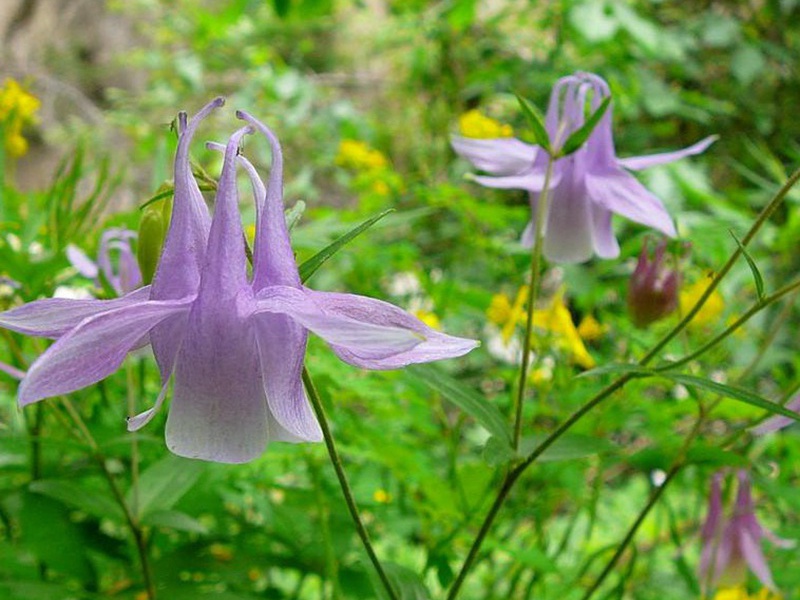 1597927476822140.jpg 2.jpg