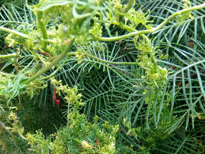 1598798040717924.jpg 8.jpg