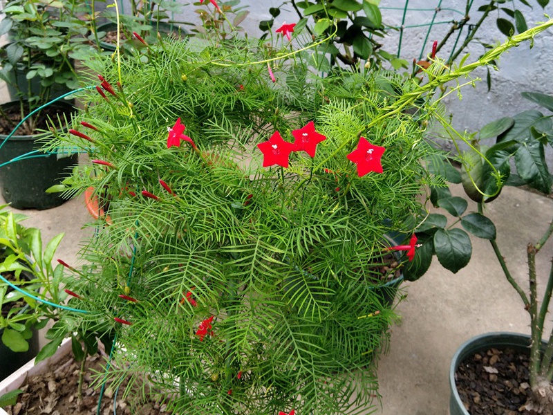 1600759444975626.jpg 1.jpg