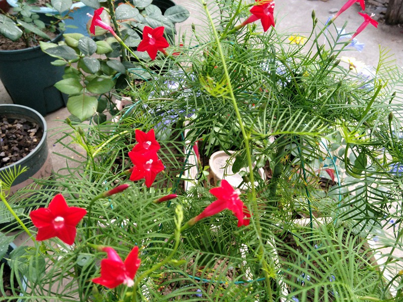 1600759448970442.jpg 3.jpg