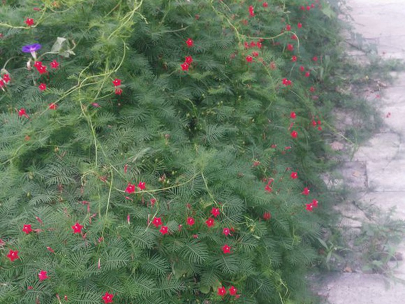 1601725572380337.jpg 1 (2).jpg