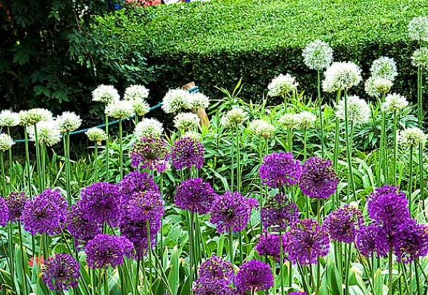 1632209985765129.jpg image.jpg