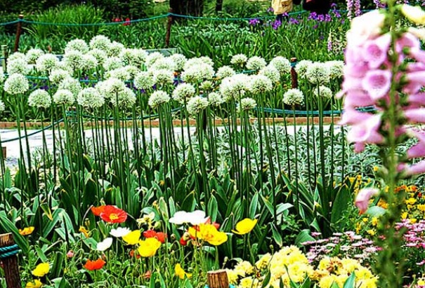 1632209997705030.jpg image.jpg