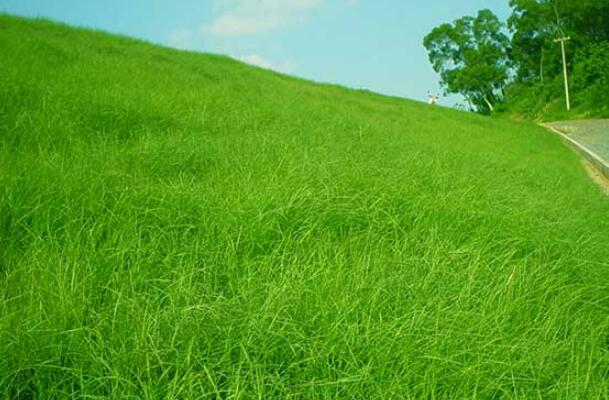 1644589447257876.jpg QQ截圖20220211222226.jpg