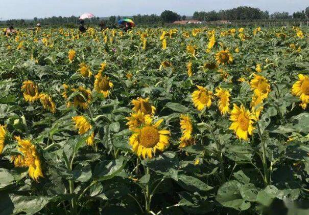 1645622897655517.jpg 9++.jpg