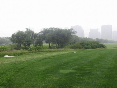 高羊茅種子播種的時(shí)間是幾月？