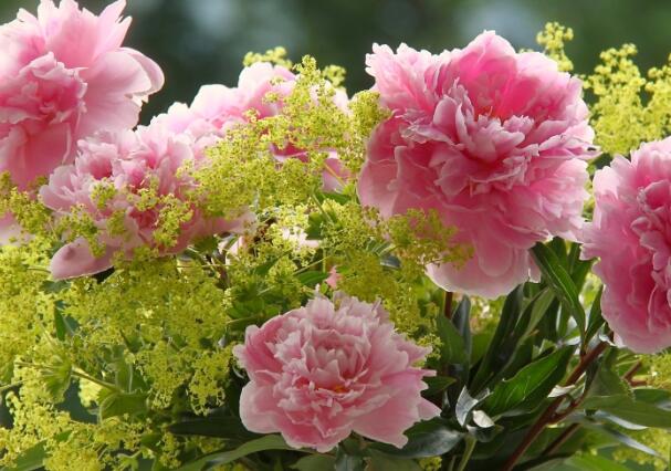 1657982155407043.jpg 7+.jpg