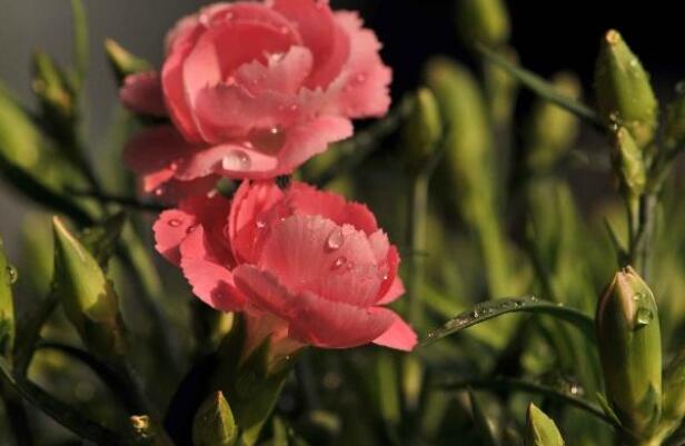 1657982167230254.jpg 7++.jpg