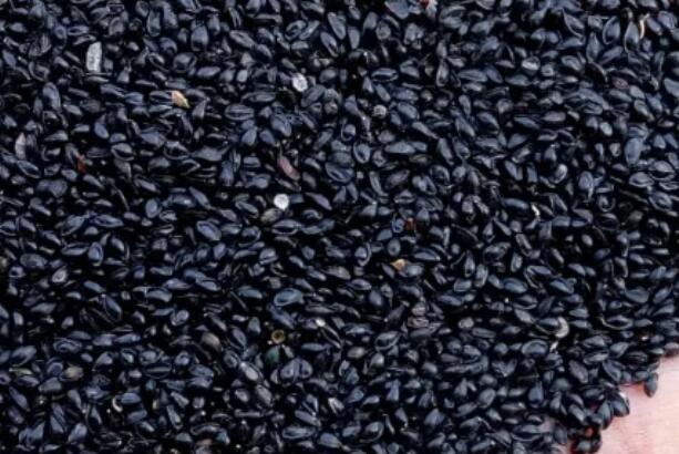 1662129227450827.jpg 6.jpg