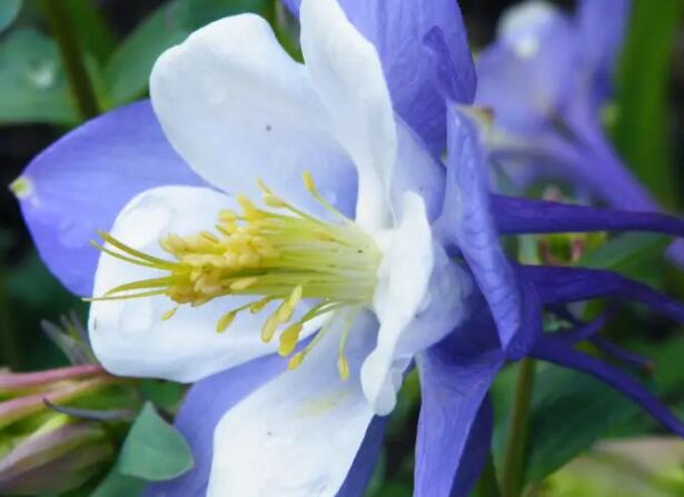 1662129239817717.jpg 6+.jpg