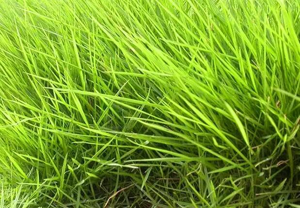 1664961158412417.jpg 8++++.jpg