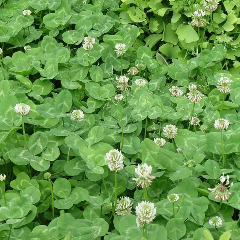 1669637598564498.jpg 1.jpg