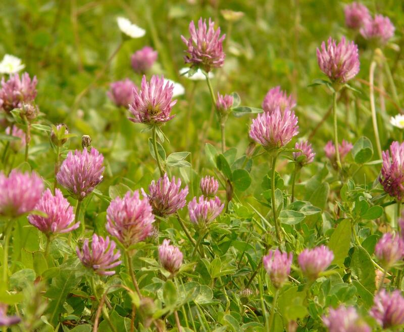 1669637618813692.jpg 2.jpg