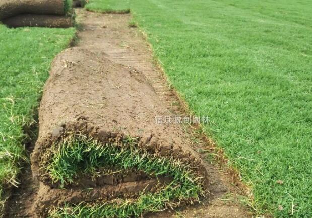 1669895708317577.jpg 0....jpg