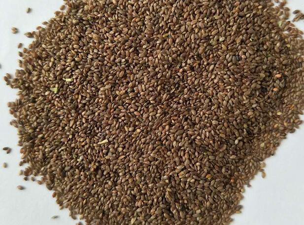 1670324685991545.jpg 1.jpg