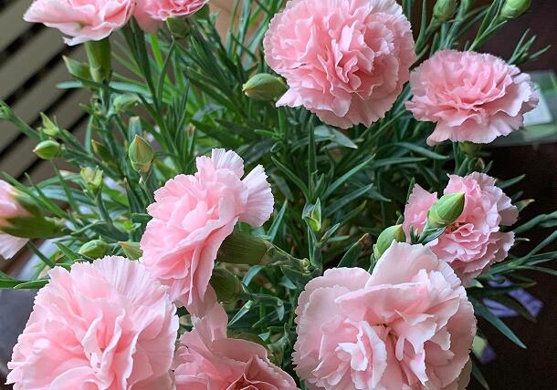 1671027006505794.jpg 6++.jpg