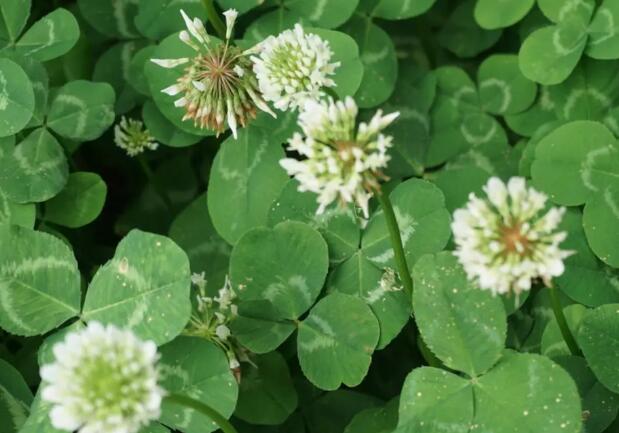 1671608169469204.jpg 00.jpg