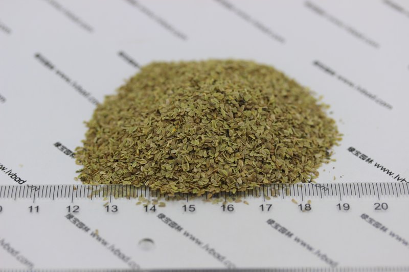 雛菊種子 雛菊種子